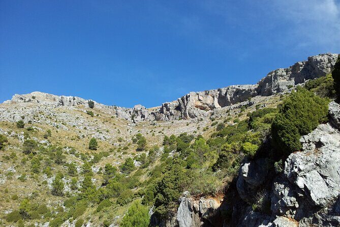 Authentic Andalusia - Jeep Eco Tour (pick up from Marbella - Estepona) - FAQ