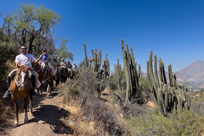 Authentic Andes Adventure: Private Horse Riding and Cheese & Wine - The Post-Ride Picnic: A Gourmet Touch