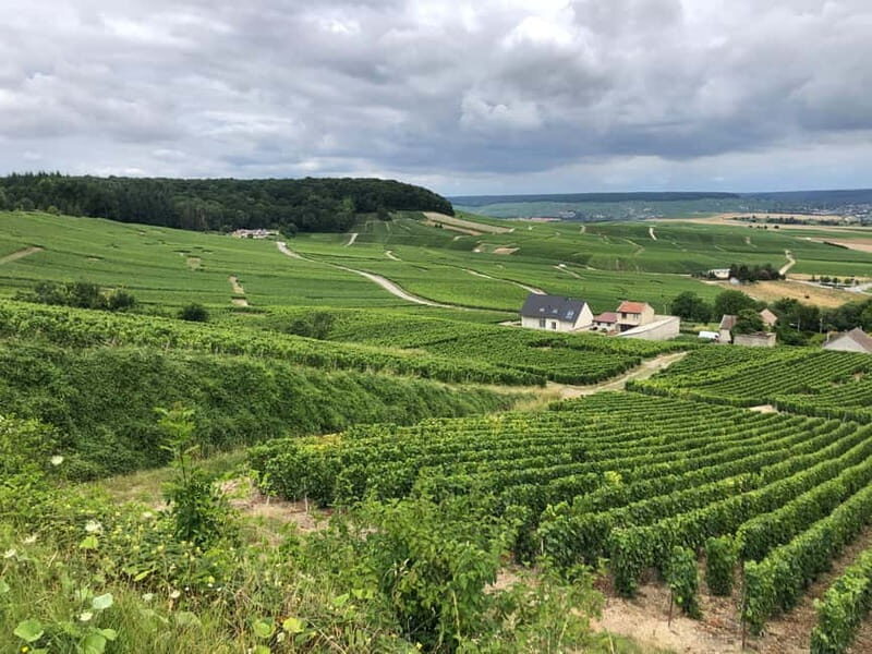 Authentic Champagne Tour: 3 vineyards, 10 Tastings & Lunch - Why This Tour Stands Out