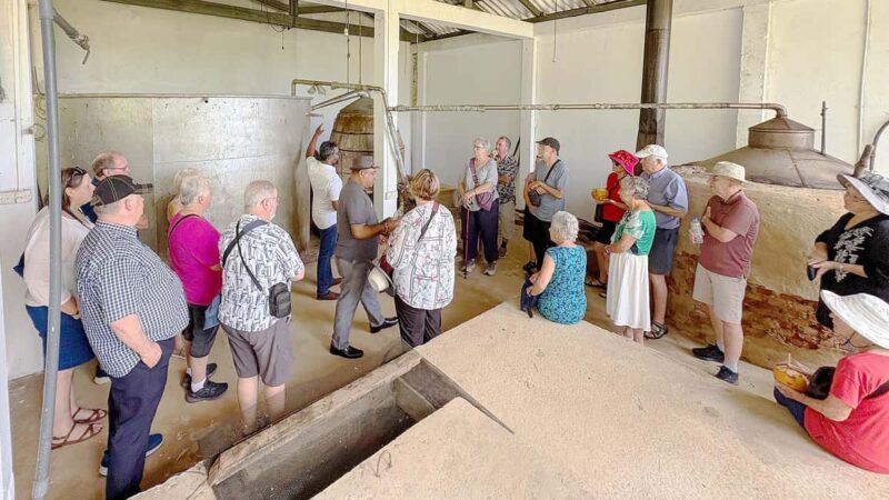 Authentic Cinnamon Tour with Cinnamon Tea Tasting Experience - Who Will Love This Tour?