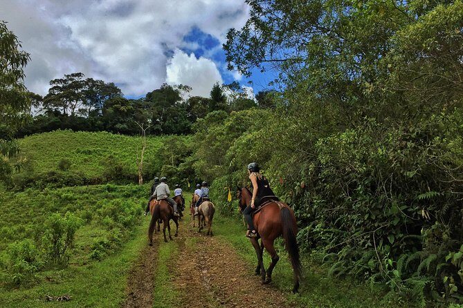 Authentic Colombian Horseback Ride - Key Points