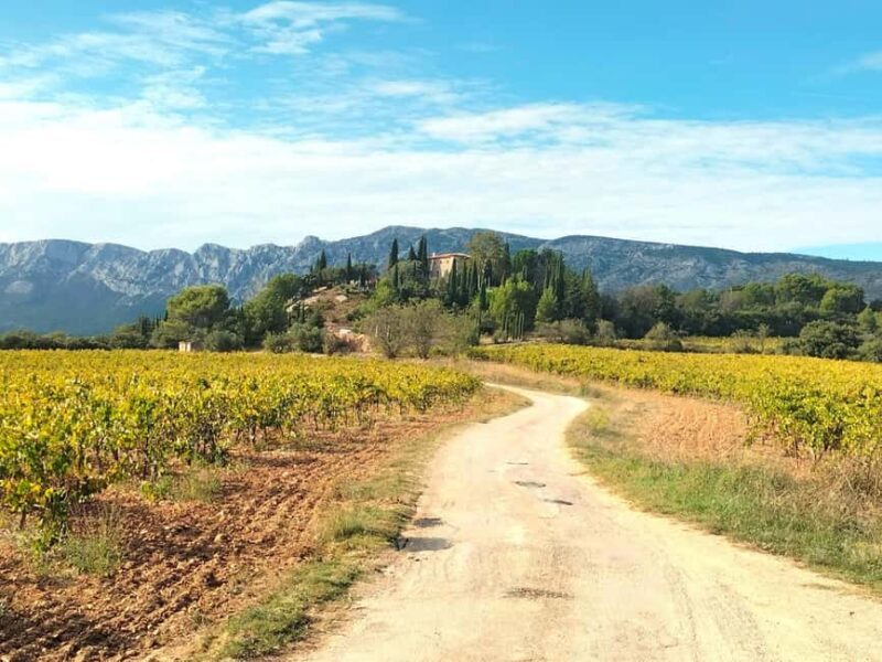 Authentic Countryside Wine Tour & Chic Aix-en-Provence - The Vineyard Experience: A Taste of Provençal Life
