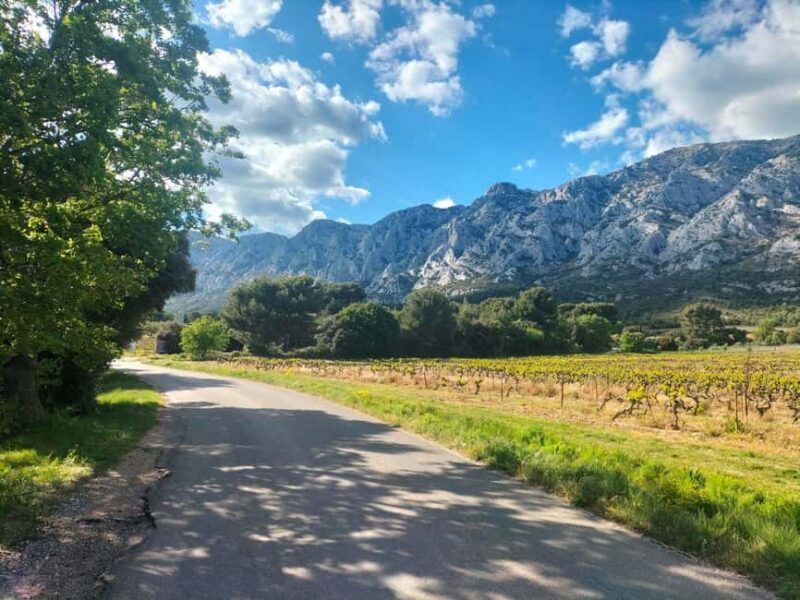 Authentic Countryside Wine Tour & Chic Aix-en-Provence - Who Should Consider This Tour?