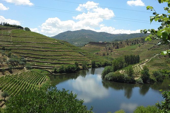 Authentic Douro Valley - small-Group Tour (Max 7) - A Deep Dive into the Douro Valley Tour