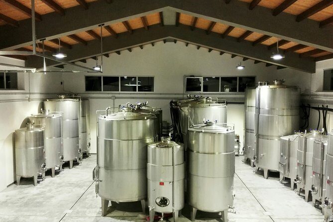 Authentic experience in organic winery - Authentic Experience in Organic Winery: A Genuine Slice of Sicilian Wine