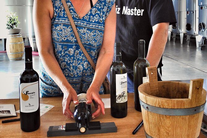 Authentic experience in organic winery - A Closer Look at the Sicilian Organic Winery Tour