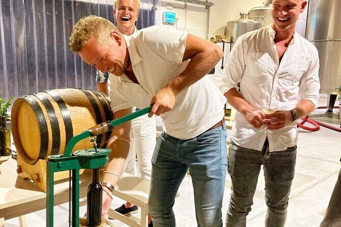 Authentic experience in organic winery - The Sum Up
