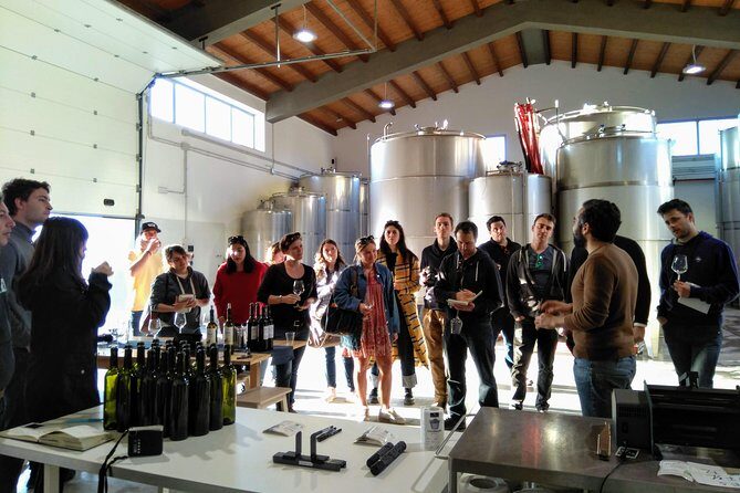 Authentic experience in organic winery - Frequently Asked Questions