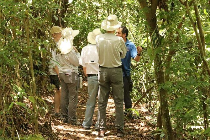 Authentic experience of Coffee, Cane and Caco inside the forest - An In-Depth Look at the Experience