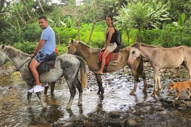 Authentic Fijian Day Tour - Exploring the Itinerary and What You Can Expect