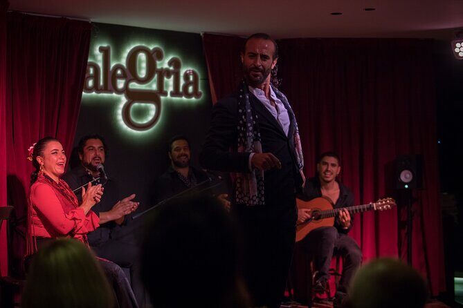 Authentic flamenco show. Alegria and gastronomy Malaga - Who should consider this flamenco experience?