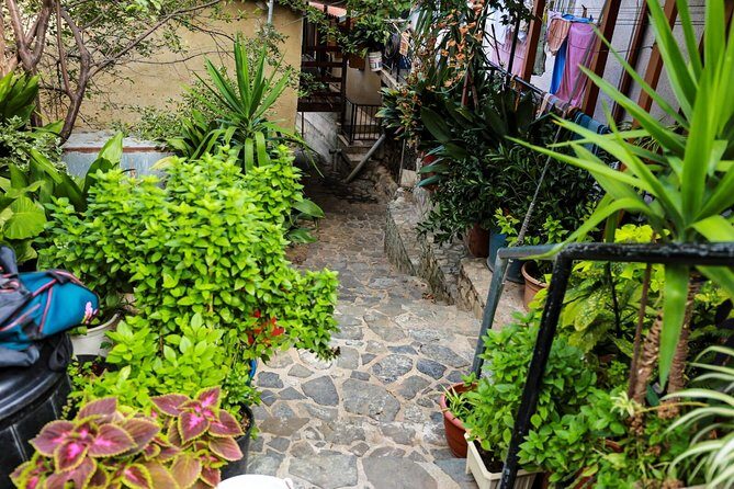 Authentic Gourmet Tour with Wine and Food Tasting from Paphos - What’s Included and What’s Not