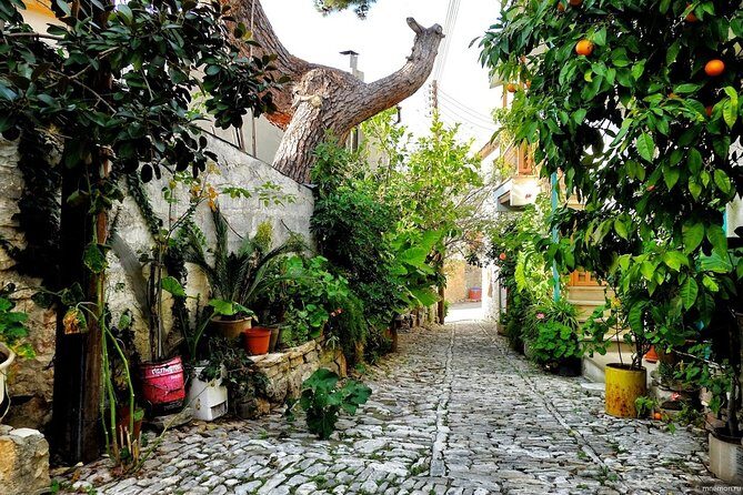 Authentic Gourmet Tour with Wine and Food Tasting from Paphos - FAQ