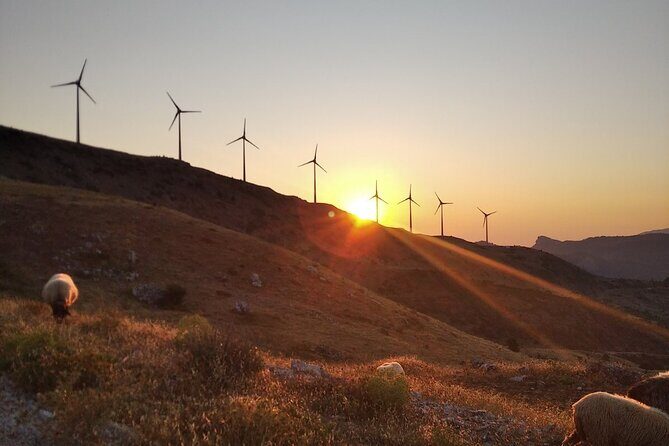 Authentic Greece tour in Aroania mountains (from Patras) - Experience the Heart of Greece: Aroania Mountains Day Trip from Patras