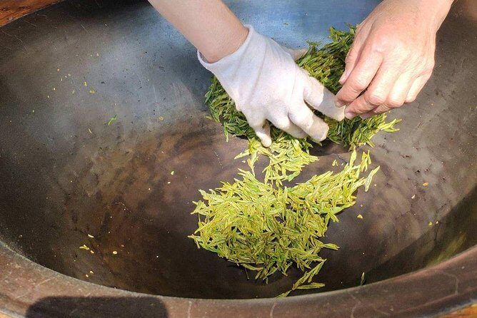 Authentic Hangzhou Longjing Tea Culture Experience Tour - Exploring the Hangzhou Longjing Tea Culture Tour in Detail