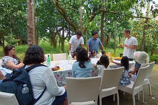 Authentic Lemon Experience at a Farm in Sorrento with Tastings - The Sum Up