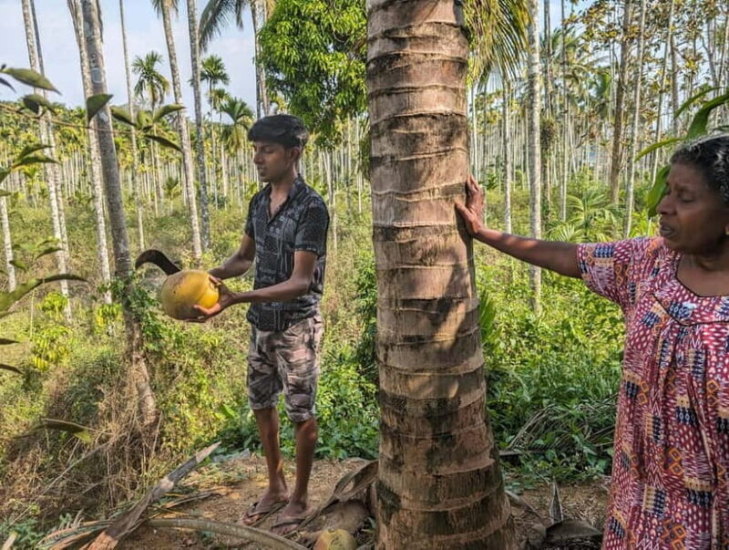Authentic local vegetarian Kerala cooking class in Wayanad - Discovering Kerala’s Flavors and Culture in Wayanad