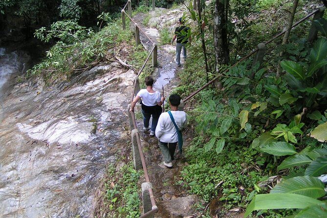 Authentic Mae Kham Pong Village Cultural Experience - An All-Inclusive Journey into Northern Thailand’s Hidden Charm