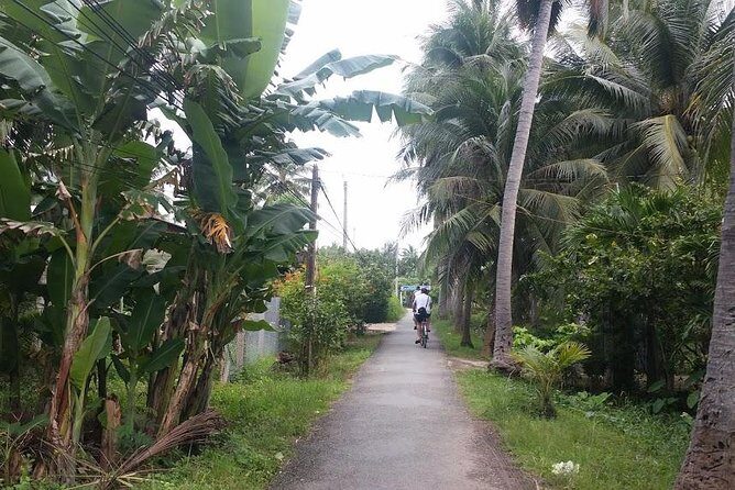 Authentic 'Non-Touristy' Mekong Delta Ben Tre 1 Day Private Tour - The Sum Up