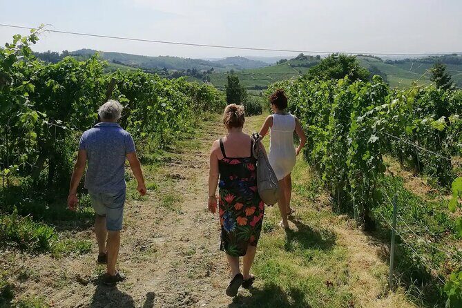 Authentic Piedmont wine tour with a local Sommelier - FAQ