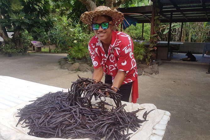 Authentic Polynesian Experience - The Sum Up: Who Will Love This Tour?