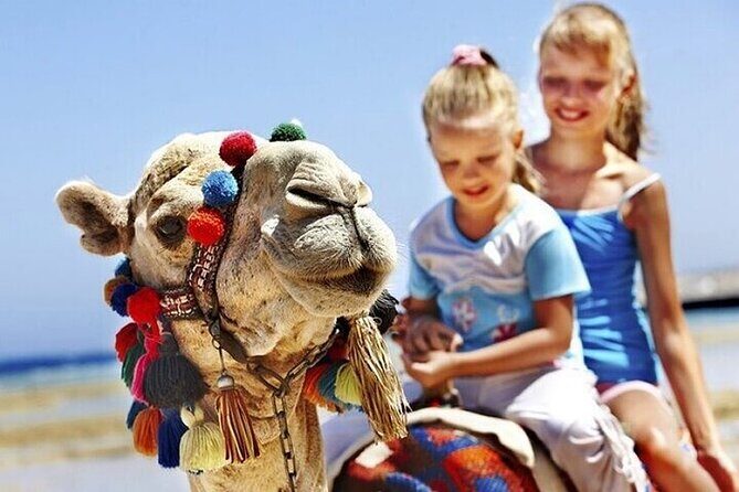 Authentic Private Tangier Tour from Estepona Camel Ride & Lunch - A Detailed Look at the Journey