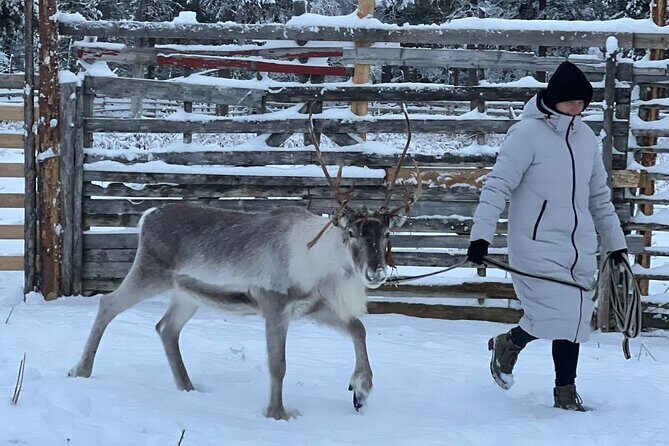 Authentic Reindeer Experience and Ice Fish with Lunch in the Wild - FAQ