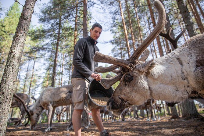 Authentic Reindeer Farm and Canoe Experience from Rovaniemi. - Practical Details to Keep in Mind