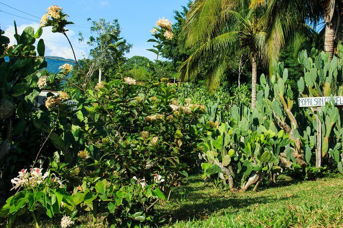 Authentic Rural Mexican Experience Adventure - Frequently Asked Questions (FAQs)