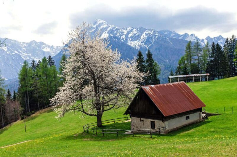 Authentic Slovenia: A Mystery Travel Day Tour - FAQ