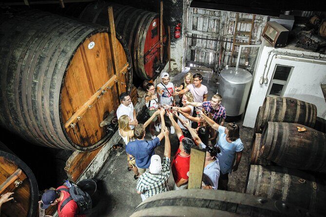 Authentic Small Group Douro Wine Tour with Lunch & River Cruise - Key Points