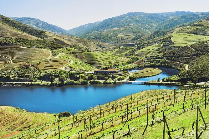 Authentic Small Group Douro Wine Tour with Lunch & River Cruise - Why This Tour Offers Great Value