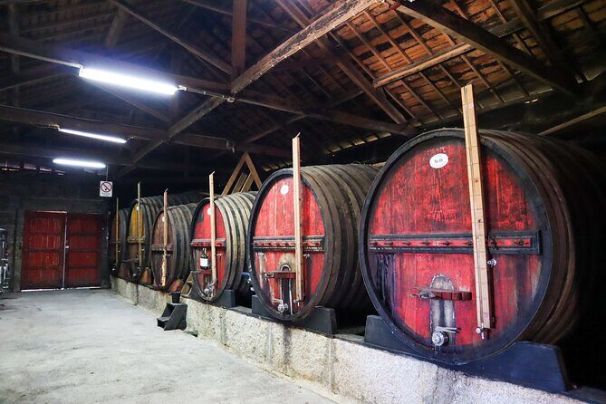 Authentic Small Group Douro Wine Tour with Lunch & River Cruise - Final Thoughts