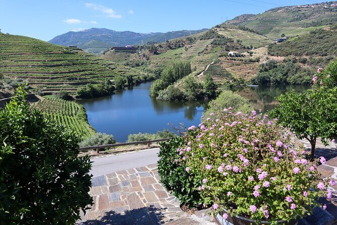 Authentic Small Group Douro Wine Tour with Lunch & River Cruise - Summary