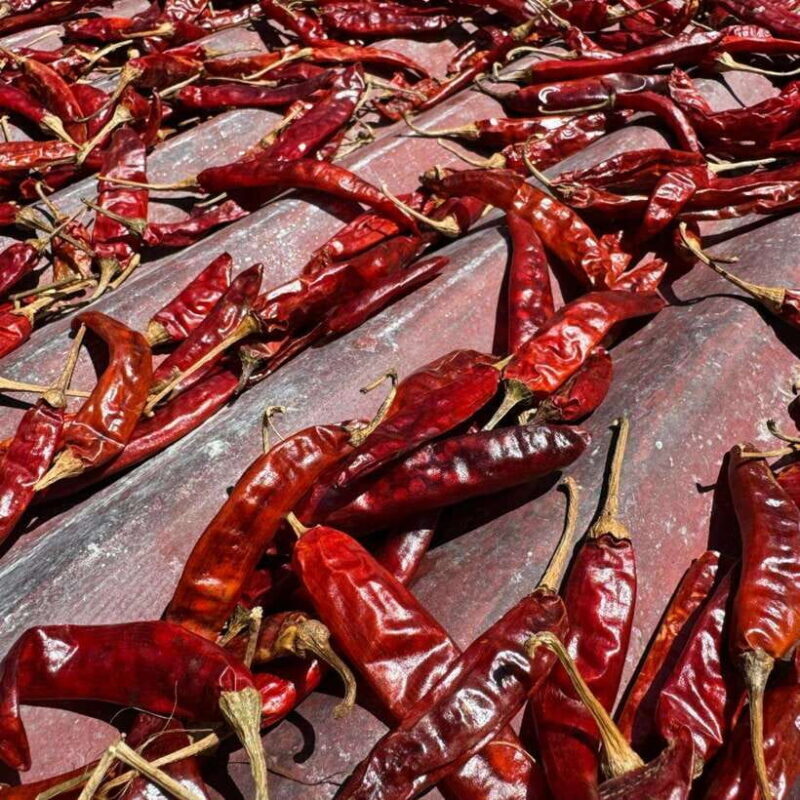 Authentic Sri Lankan Village Experience with Local Family - Key Points