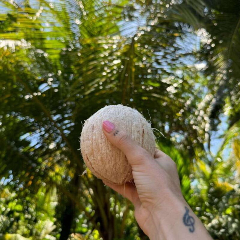 Authentic Sri Lankan Village Experience with Local Family - Practical Details: What to Expect