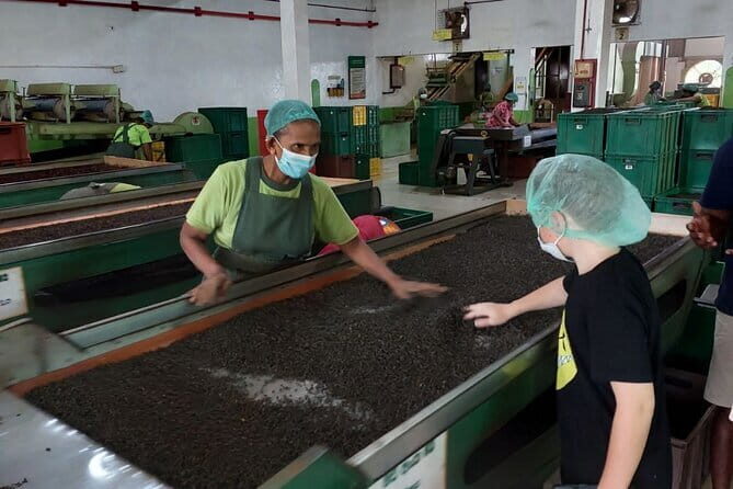 Authentic Sri Lankan Villages Private Guided Tour with Lunch - Exploring Each Spot in Detail