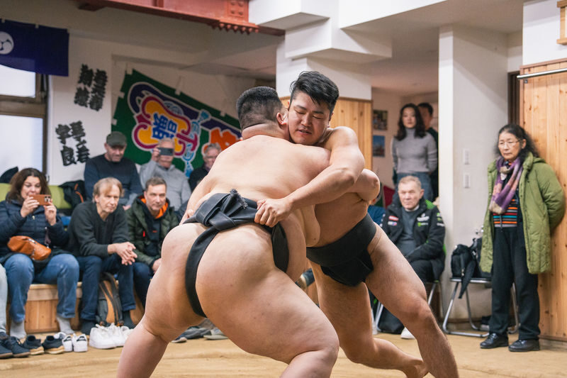 Authentic Tokyo Sumo: Enter the Ring & Chanko Lunch - Watching the wrestlers train