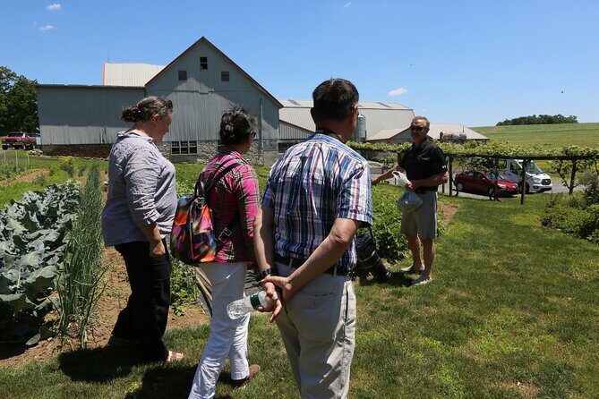 Authentic Tour & Meal with the Amish! - An In-Depth Look at the Experience