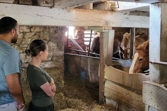 Authentic Tour & Meal with the Amish! - Final Thoughts & Who Should Consider This Tour