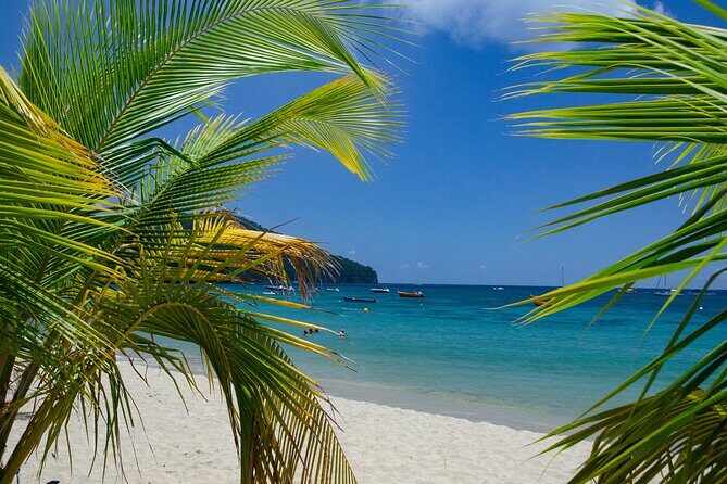 Authentic Tour of Southern Martinique - Key Points