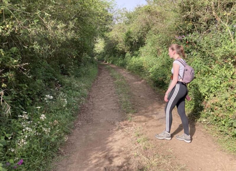 Authentic Veracruz: Guided Hike from Naolinco to Acatlán with Meal - Who Will Love This Tour?