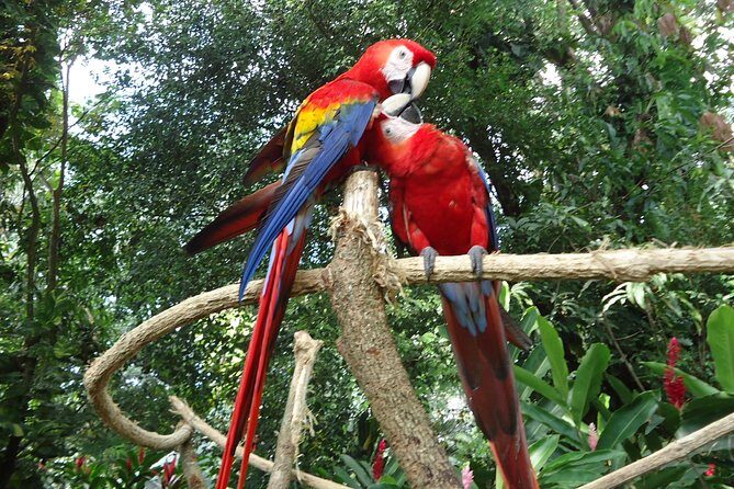 Auto Safari Chapin Drive-Through Nature Park & Zoo from Puerto Quetzal - Key Points