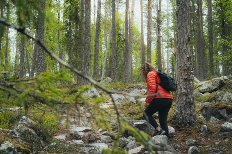 Auttiköngäs Hiking Experience - An In-Depth Look at the Auttiköngäs Hiking Experience