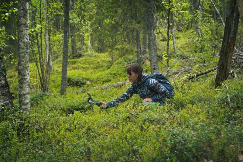 Auttiköngäs Hiking Experience - Why This Tour Is a Good Deal