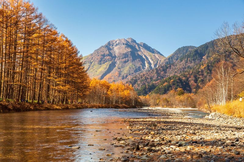 Autumn Colors Exclusive: Scenic Kamikochi 1-Day Bus Tour from Tokyo - Key points before you book