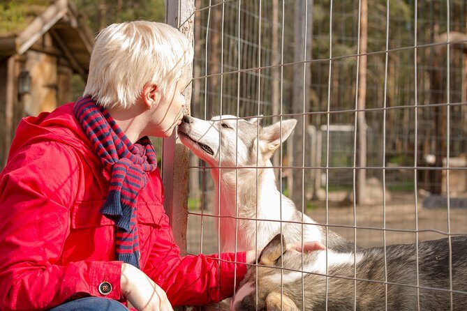 Autumn Delight - Visit to husky, reindeer and Santa Claus in Rovaniemi - Possible Drawbacks and Considerations