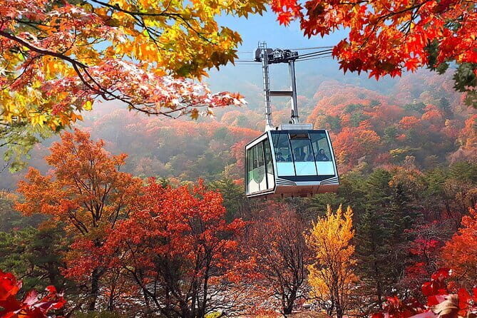 Autumn Foliage-Mt. Seorak, Sokcho Beach, Market, Observatory - Key Points
