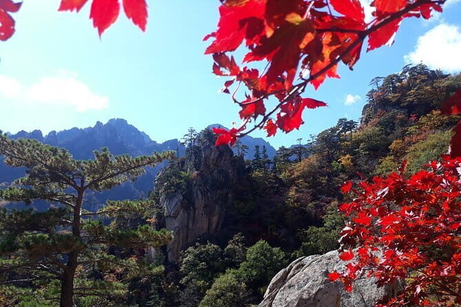 Autumn Foliage-Mt. Seorak, Sokcho Beach, Market, Observatory - A Deep Dive into the Experience