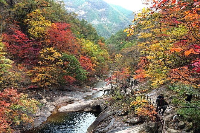 Autumn Foliage-Mt. Seorak, Sokcho Beach, Market, Observatory - Who Should Consider This Tour?